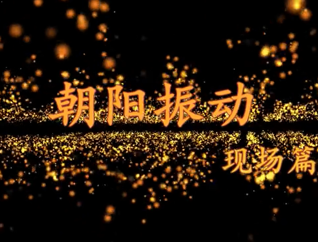 朝陽(yáng)振動(dòng)設備現場(chǎng)篇