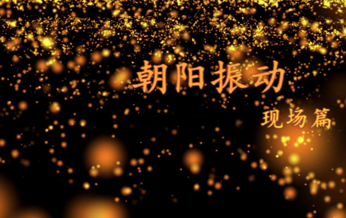 朝陽(yáng)振動(dòng)設備現場(chǎng)篇2